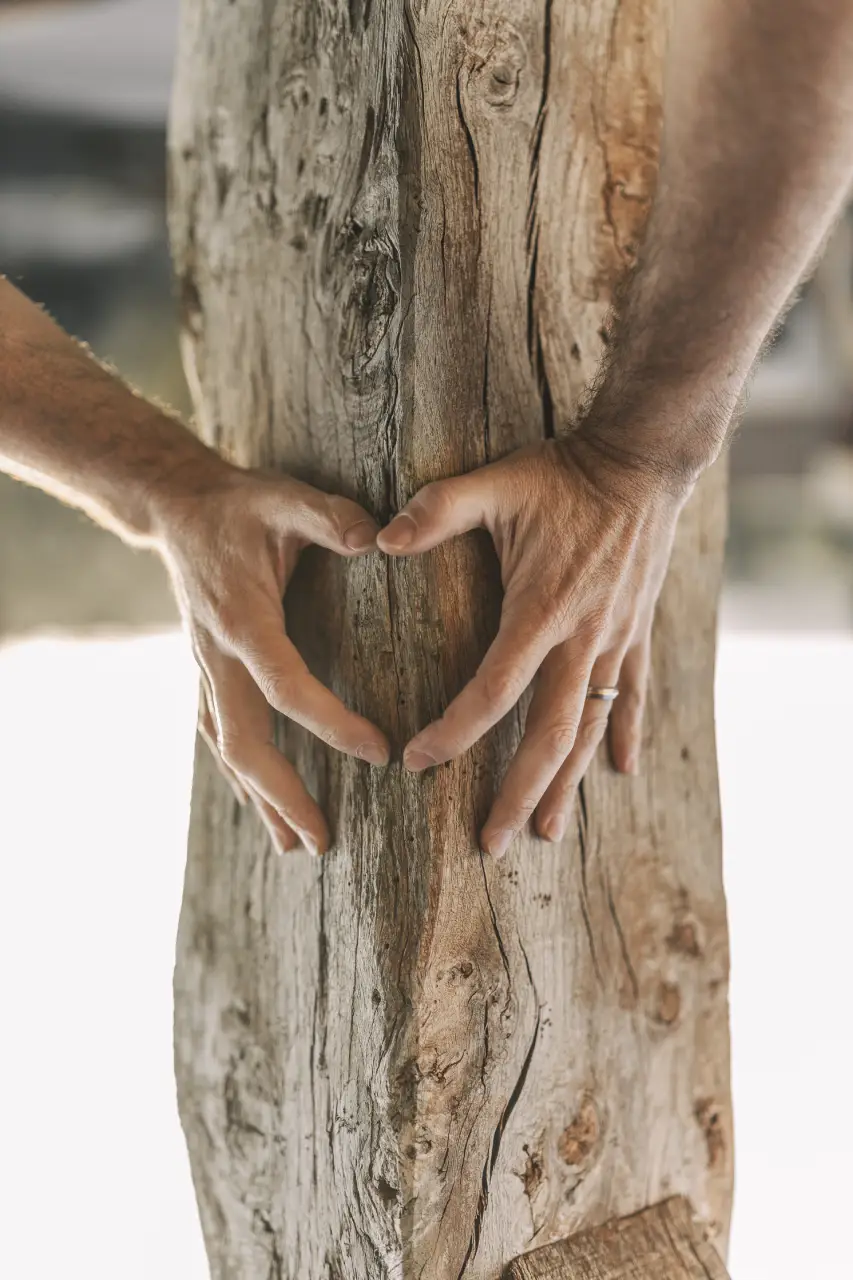 Coeur sur le tronc