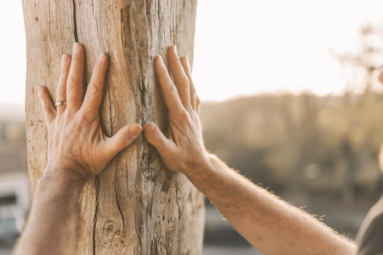 Main sur le tronc